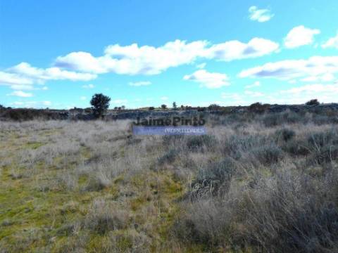 Terreno rústico 32,5ha p/ plantações novas. Portugal, Guarda, Figueira de Castelo Rodrigo.