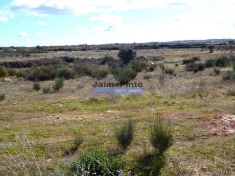Terreno rústico 32,5ha p/ plantações novas. Portugal, Guarda, Figueira de Castelo Rodrigo.