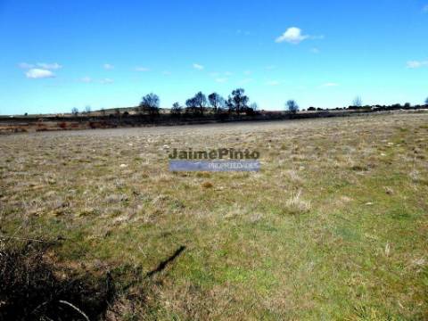 Terreno rústico 32,5ha p/ plantações novas. Portugal, Guarda, Figueira de Castelo Rodrigo.