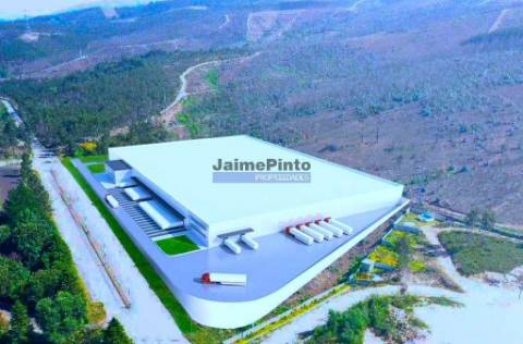 Terreno Industrial 30.000m2 p/ Logística, Serviços, Indústria. Portugal, Valongo, Santo Tirso.