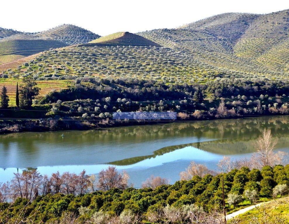 Olival, Amendoal e Vinha, totalizando 141ha. Portugal, Foz Côa.
