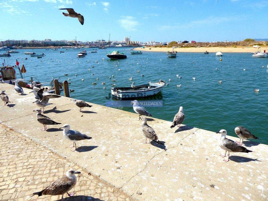 Hostel aprovado p/ construção, 20 quartos. Portugal, Ferragudo, Algarve.