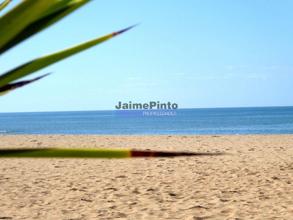 Hotel Turismo em Espaço Rural aprovado p/ construção. Portugal, Algarve, Lagoa.