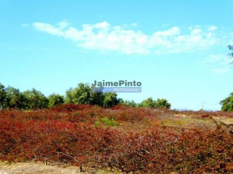 Turismo Rural. Hotel 95 quartos. Projeto Aprovado. Ferragudo, Algarve, Portugal.