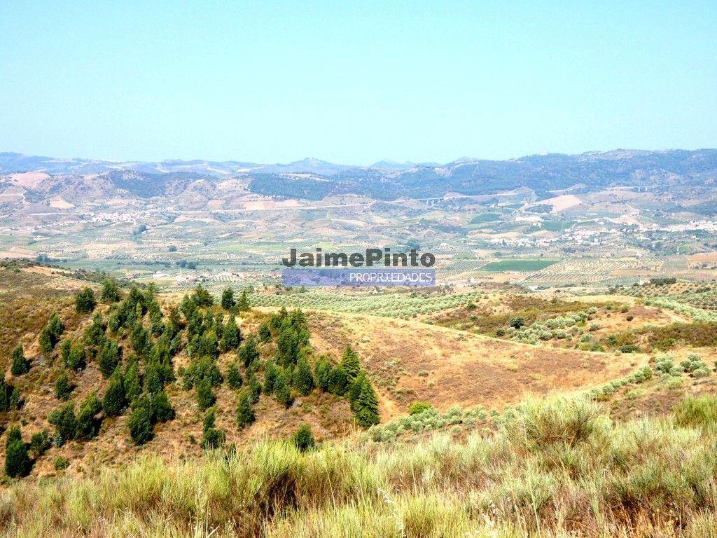 TERRENO AGRÍCOLA 104.000m2 para plantações novas. Portugal, ALFÂNDEGA da FÉ.