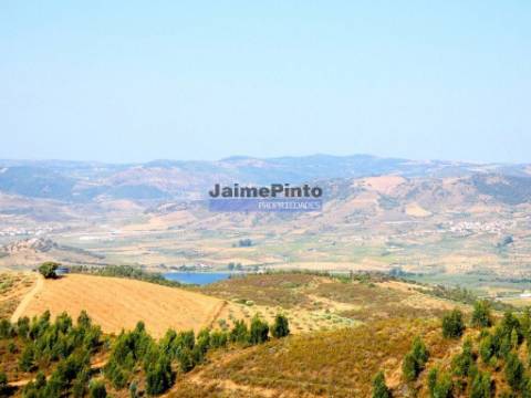 TERRENO AGRÍCOLA 104.000m2 para plantações novas. Portugal, ALFÂNDEGA da FÉ.