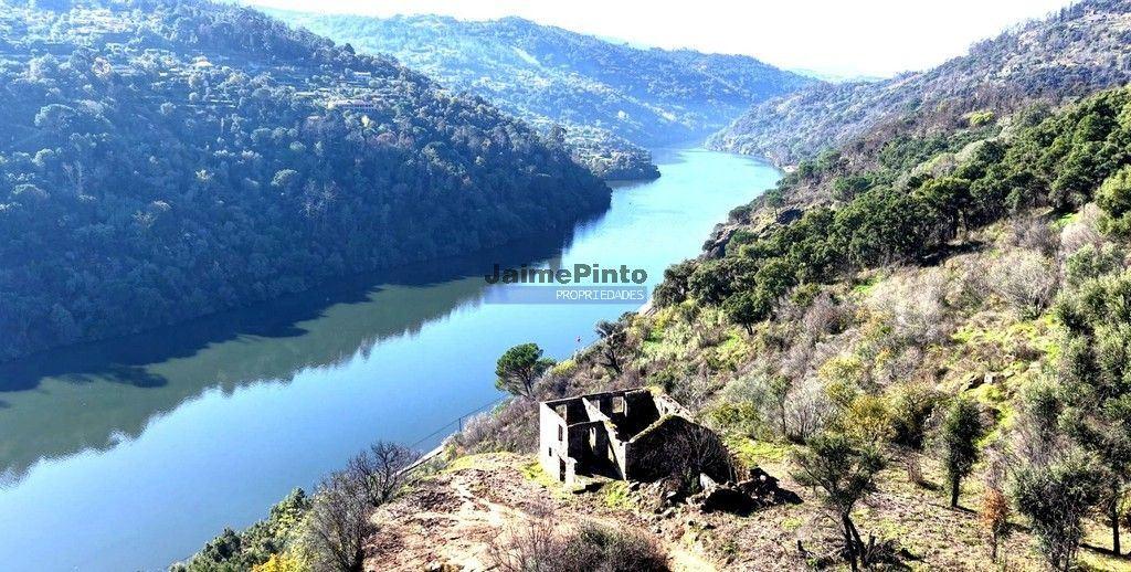 Quinta mini e Ruína, ampla vista rio Douro. Portugal, Norte, Porto, Baião.