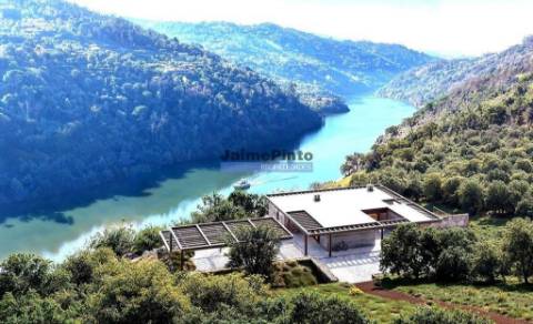 Quinta mini e Ruína, ampla vista rio Douro. Portugal, Norte, Porto, Baião.