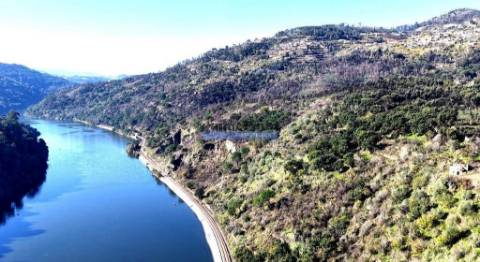 Quinta mini e Ruína, ampla vista rio Douro. Portugal, Norte, Porto, Baião.