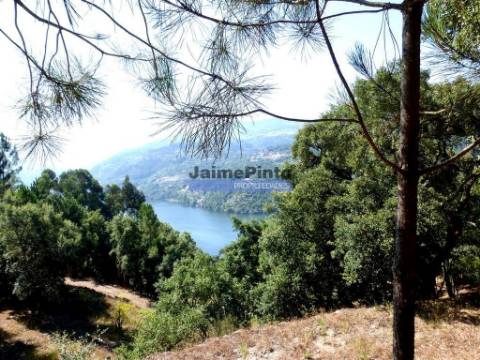 Quinta mini e Ruína, ampla vista rio Douro. Portugal, Norte, Porto, Baião.