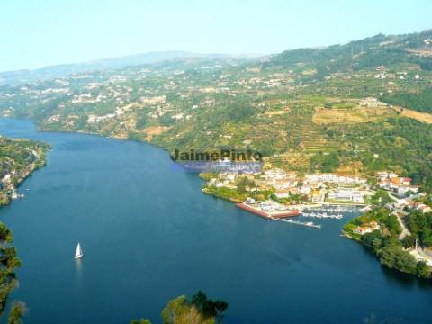 Quinta mini e Ruína, ampla vista rio Douro. Portugal, Norte, Porto, Baião.