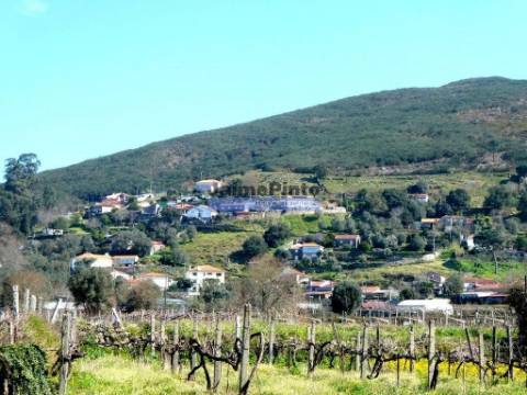 Terreno urbano p/ construção 4 MORADIAS c/ piscina ou APARTAMENTOS. Portugal, Viana do Castelo, Barroselas.