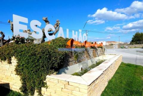 Moradia antiga, simples, térrea. Portugal, Figueira de Castelo Rodrigo, Escalhão.