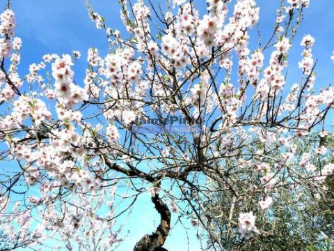 Moradia antiga, simples, térrea. Portugal, Figueira de Castelo Rodrigo, Escalhão.