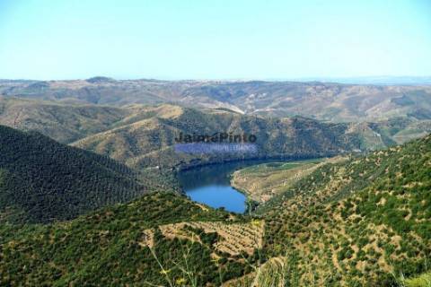 Moradia antiga, simples, térrea. Portugal, Figueira de Castelo Rodrigo, Escalhão.