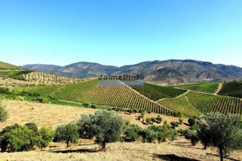 Moradia antiga, simples, térrea. Portugal, Figueira de Castelo Rodrigo, Escalhão.