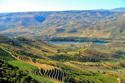 Moradia antiga, simples, térrea. Portugal, Figueira de Castelo Rodrigo, Escalhão.