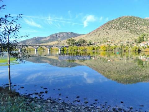 Olival de 100ha. Portugal, Barca DAlva.