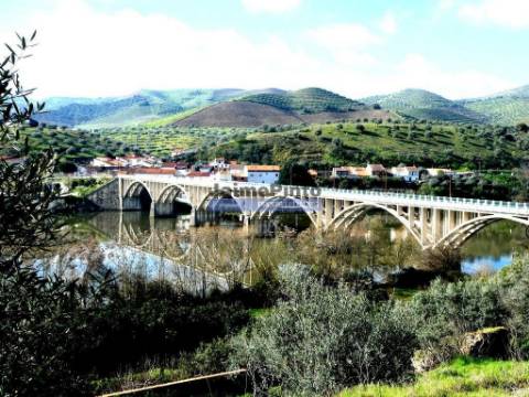 6,95 HA OLIVAL e CASA de CAMPO. Portugal, Barca dAlva, F. C. Rodrigo.