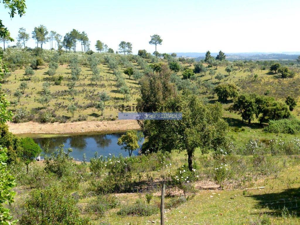Herdade 800.000m2, Alentejo, Alqueva. Portugal, Portel.
