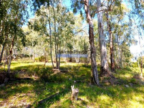 Herdade 800.000m2, Alentejo, Alqueva. Portugal, Portel.