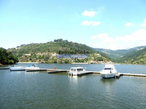 Terreno 40.500m2 vizinho ao rio Douro. Portugal, Porto, Penafiel, Entre-os-Rios.