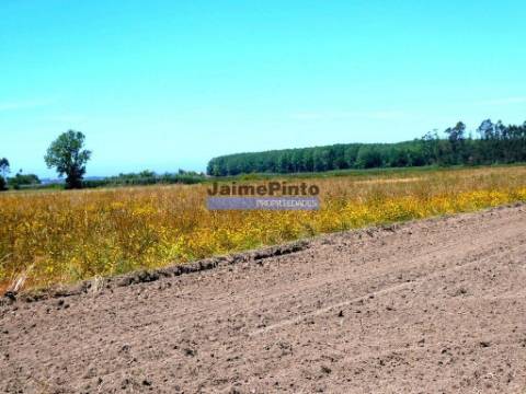 Terreno urbano para lotear destinado a 40 MORADIAS. Portugal, Aveiro, Ovar.