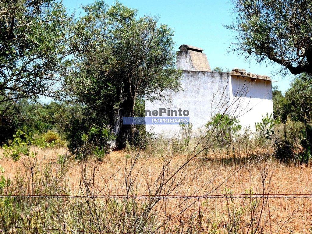 Quinta 1,9ha, com armazém de apoio agrícola. Portugal, Alentejo, Portel.