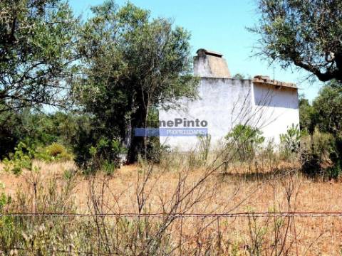 Quinta 1,9ha, com armazém de apoio agrícola. Portugal, Alentejo, Portel.