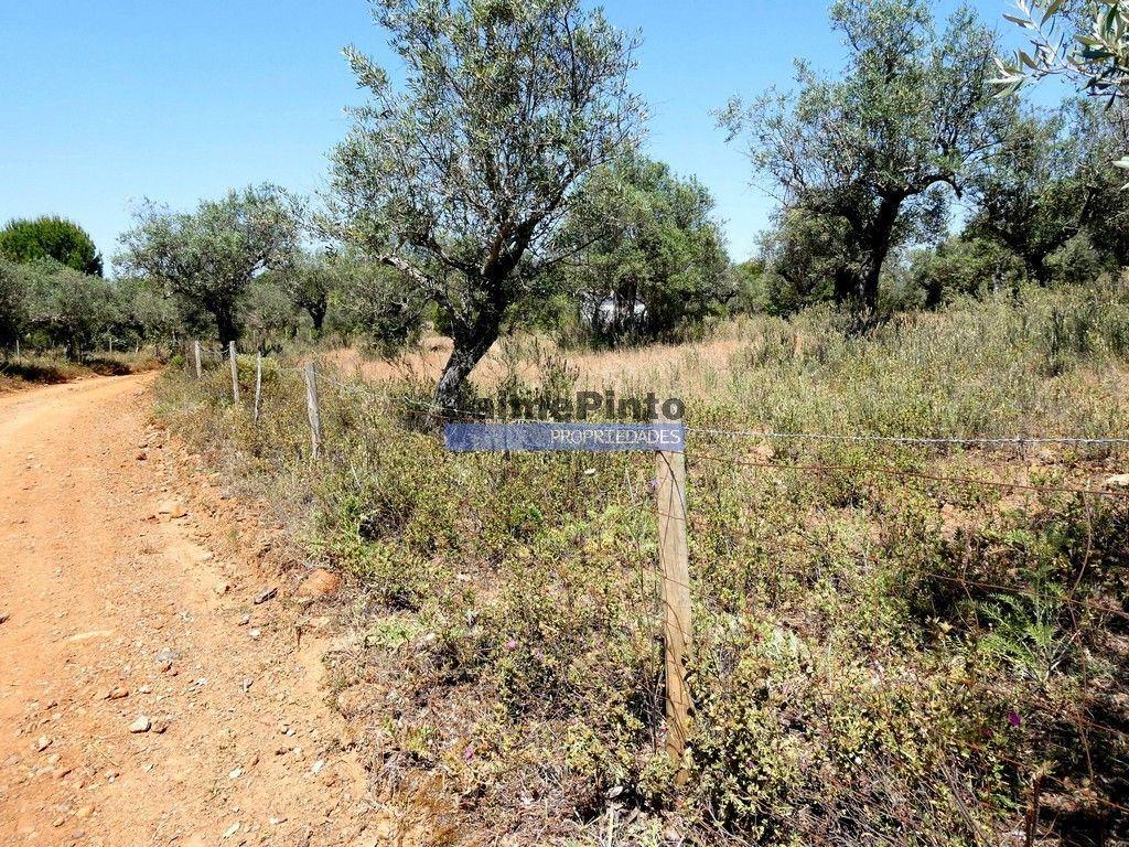 Quinta 1,9ha, com armazém de apoio agrícola. Portugal, Alentejo, Portel.