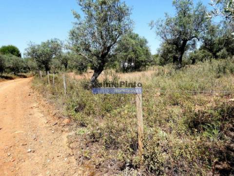 Quinta 1,9ha, com armazém de apoio agrícola. Portugal, Alentejo, Portel.