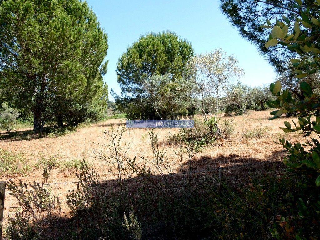 Quinta 1,9ha, com armazém de apoio agrícola. Portugal, Alentejo, Portel.