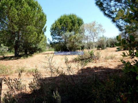 Quinta 1,9ha, com armazém de apoio agrícola. Portugal, Alentejo, Portel.