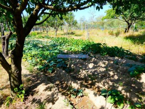 Quinta, Moradia V6, em Pegões. Portugal, Setúbal, Montijo.