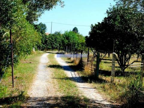 Quinta, Moradia V6, em Pegões. Portugal, Setúbal, Montijo.