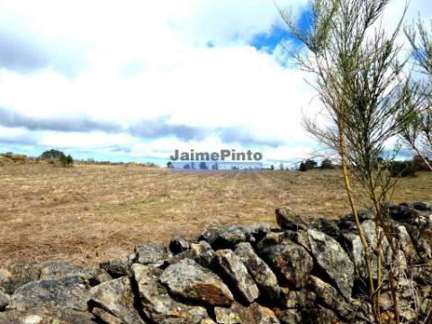 Quinta, herdade de 210.000m2 para agricultura. Portugal, Guarda, F. C. Rodrigo.