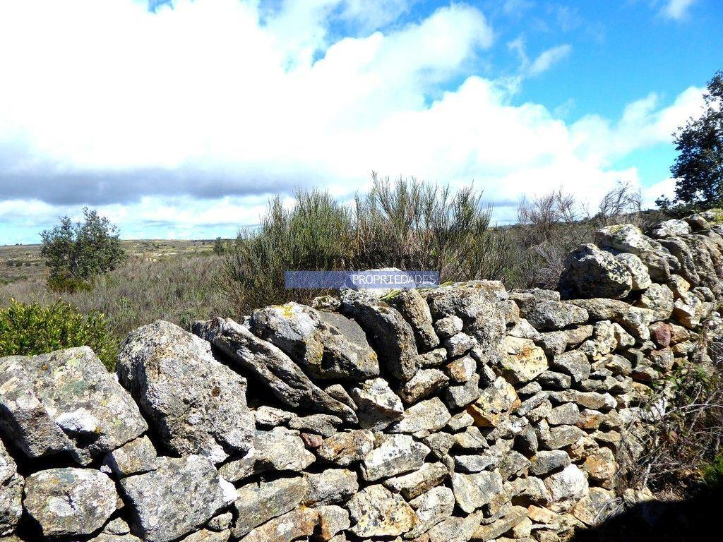 Quinta, herdade de 210.000m2 para agricultura. Portugal, Guarda, F. C. Rodrigo.