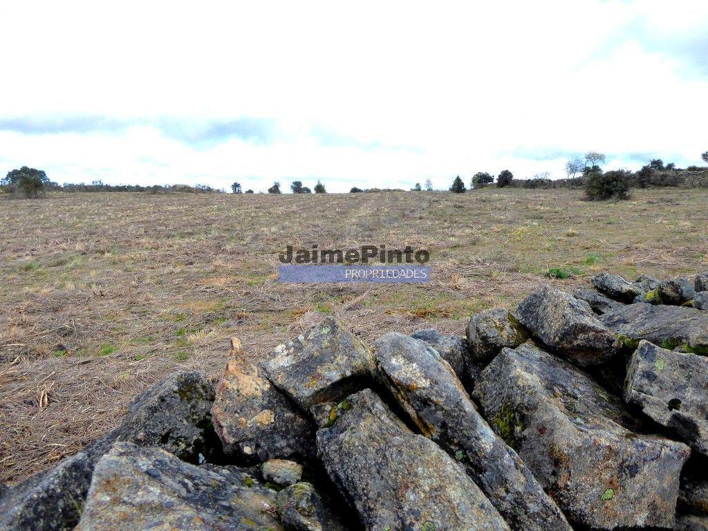 Quinta, herdade de 210.000m2 para agricultura. Portugal, Guarda, F. C. Rodrigo.