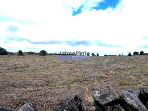 Quinta, herdade de 210.000m2 para agricultura. Portugal, Guarda, F. C. Rodrigo.