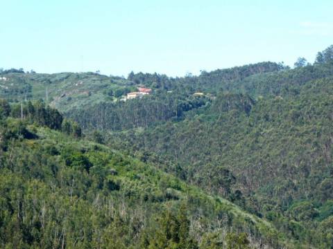 Terreno URBANO 7.045m2 para 12-15 Moradias. Portugal, Navió, Ponte de Lima.