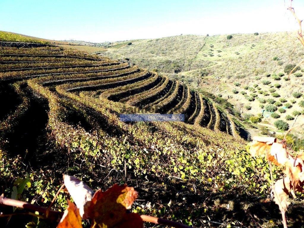 QUINTA 260.000m2 com VINHA. Douro Superior. Portugal, Vila Nova Foz Côa.