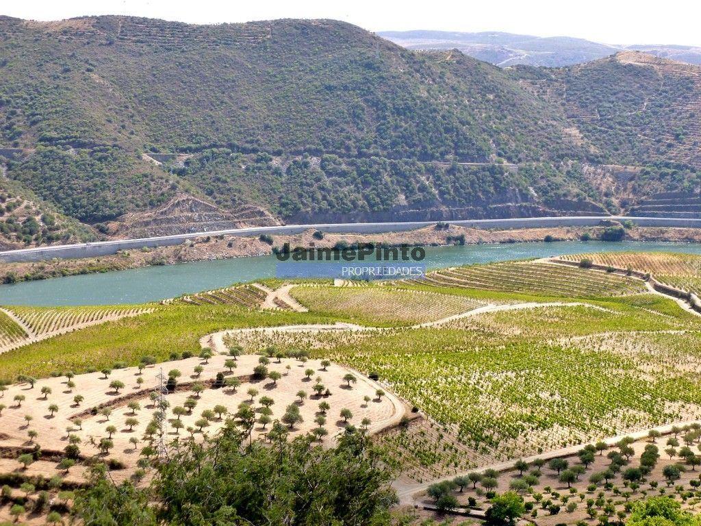 Quinta, Vinha, Casa, frente rio Douro. Portugal, Foz do Sabor, Torre de Moncorvo.