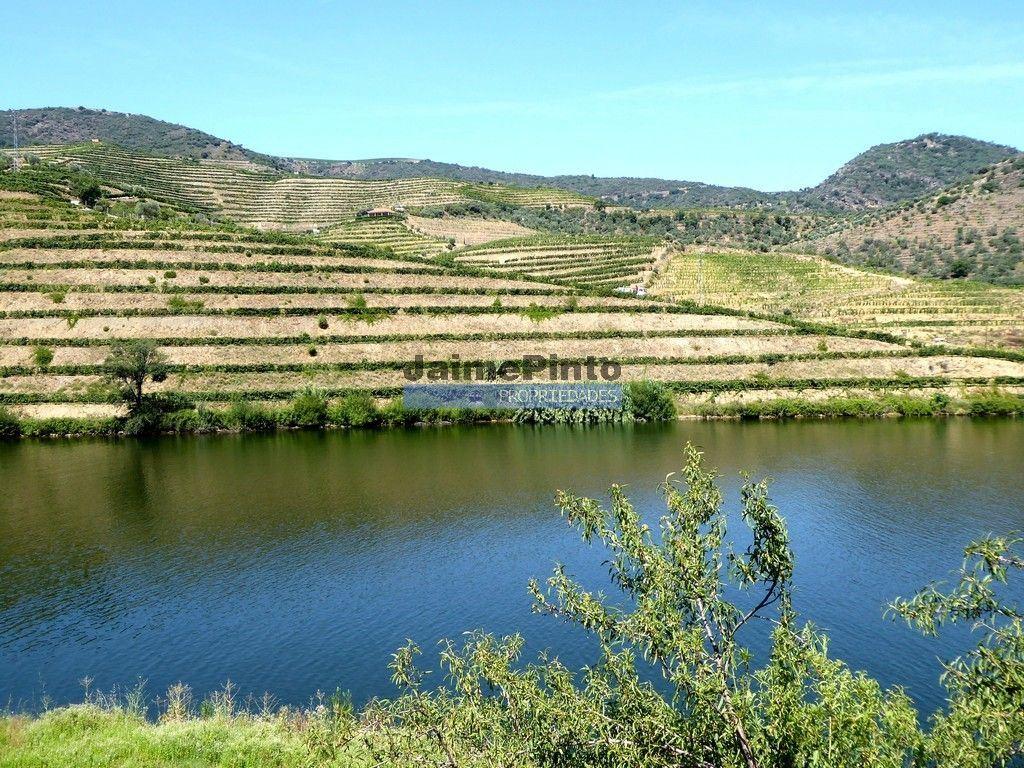 Quinta, Vinha, Casa, frente rio Douro. Portugal, Foz do Sabor, Torre de Moncorvo.
