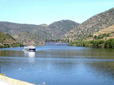 Quinta, Vinha, Casa, frente rio Douro. Portugal, Foz do Sabor, Torre de Moncorvo.