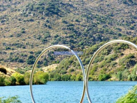 Quinta, Vinha, Casa, frente rio Douro. Portugal, Foz do Sabor, Torre de Moncorvo.