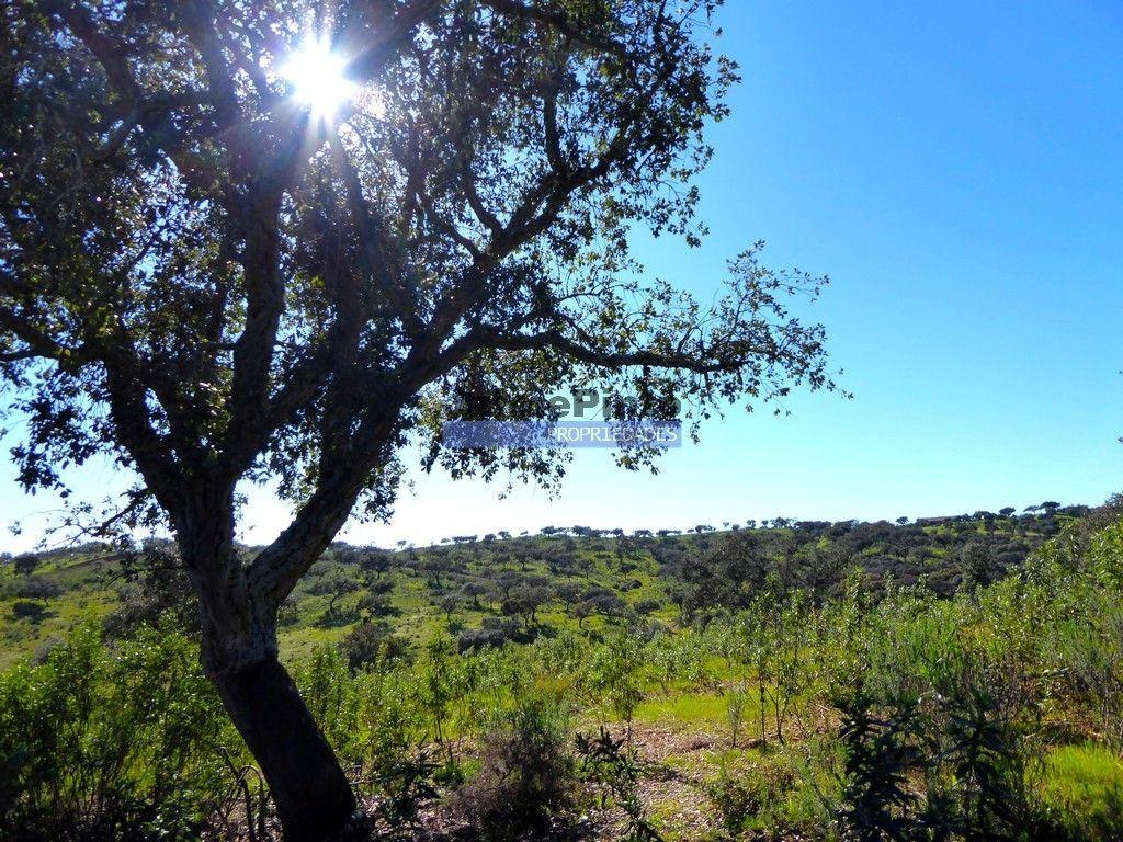3.500.000m2 Herdade próxima Alqueva. Portugal, Évora, Portel.