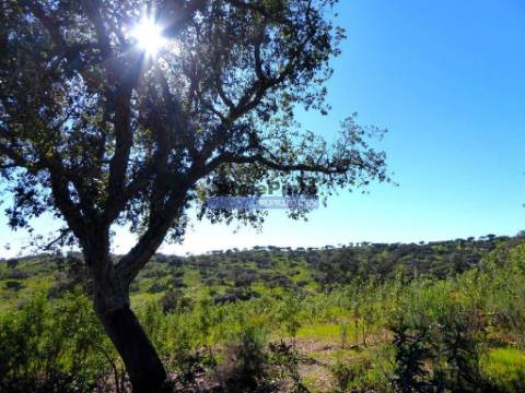 3.500.000m2 Herdade próxima Alqueva. Portugal, Évora, Portel.