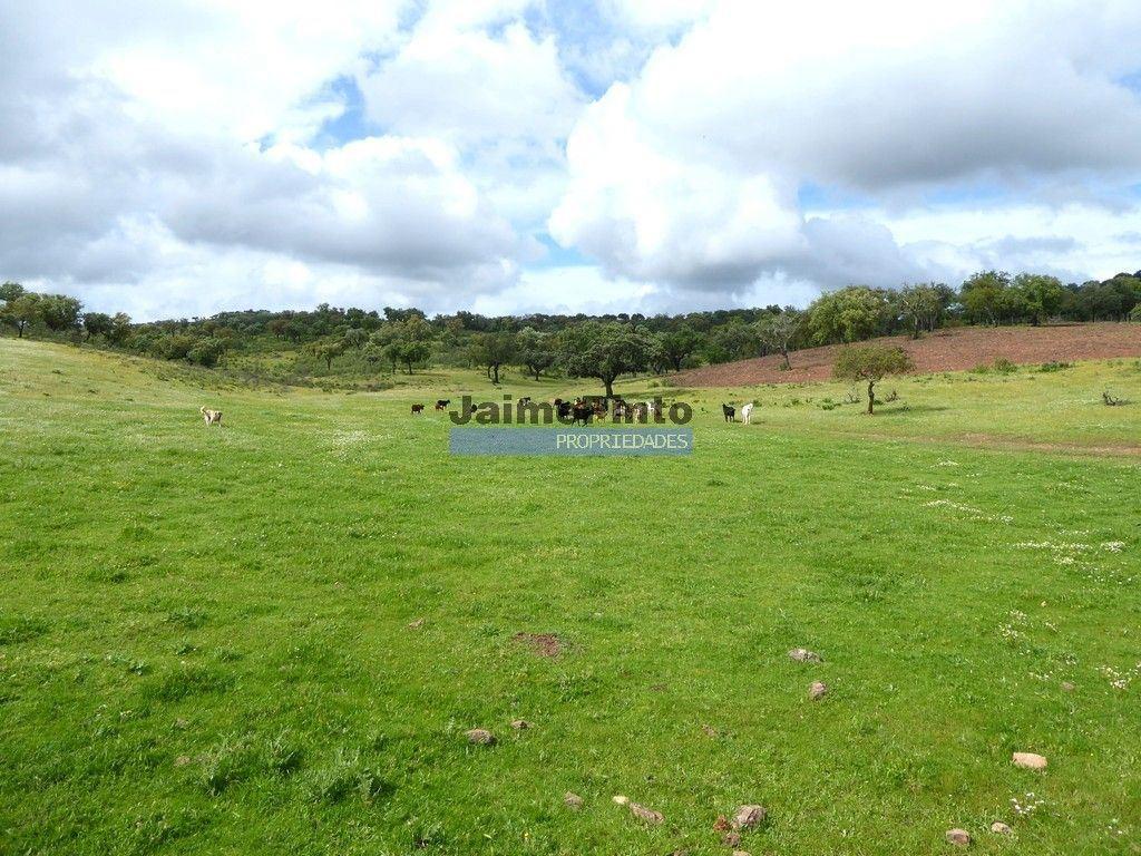 3.500.000m2 Herdade próxima Alqueva. Portugal, Évora, Portel.