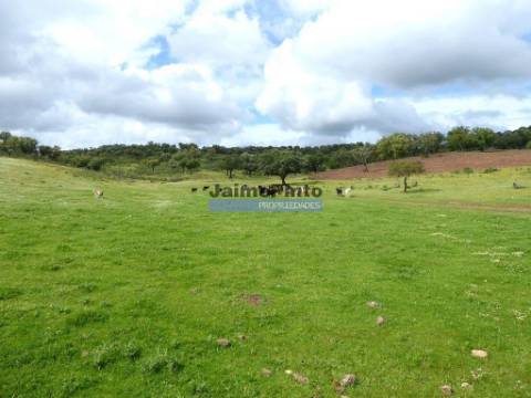 3.500.000m2 Herdade próxima Alqueva. Portugal, Évora, Portel.