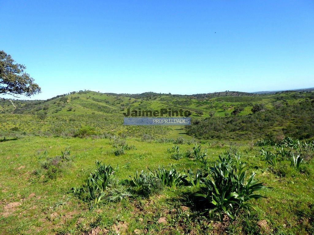 3.500.000m2 Herdade próxima Alqueva. Portugal, Évora, Portel.